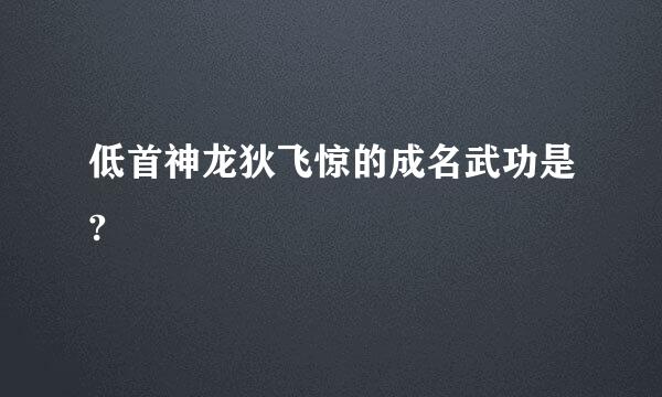 低首神龙狄飞惊的成名武功是?