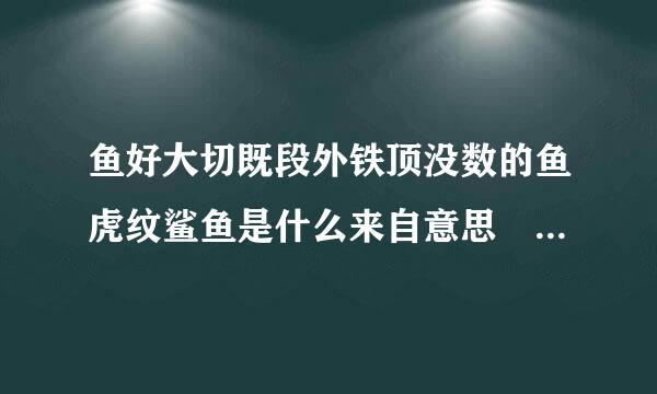 鱼好大切既段外铁顶没数的鱼虎纹鲨鱼是什么来自意思 是什么歌