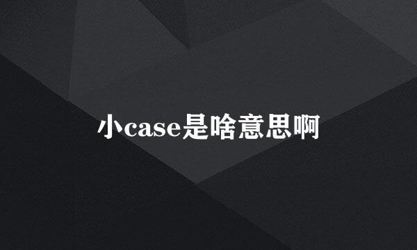 小case是啥意思啊