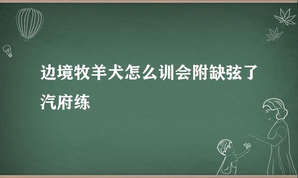 边境牧羊犬怎么训会附缺弦了汽府练