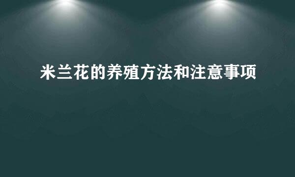 米兰花的养殖方法和注意事项