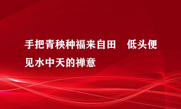 手把青秧种福来自田 低头便见水中天的禅意