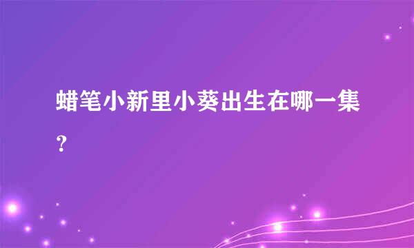 蜡笔小新里小葵出生在哪一集？