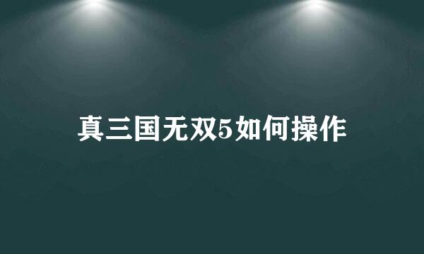 真三国无双5如何操作