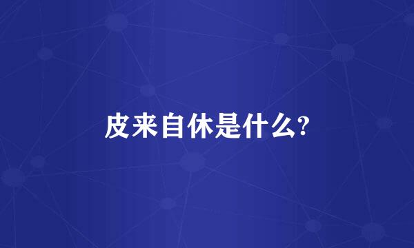 皮来自休是什么?