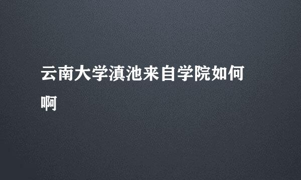 云南大学滇池来自学院如何 啊