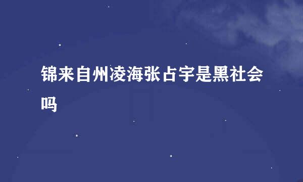 锦来自州凌海张占宇是黑社会吗