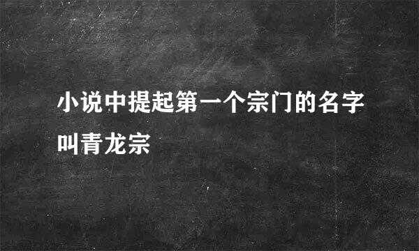 小说中提起第一个宗门的名字叫青龙宗