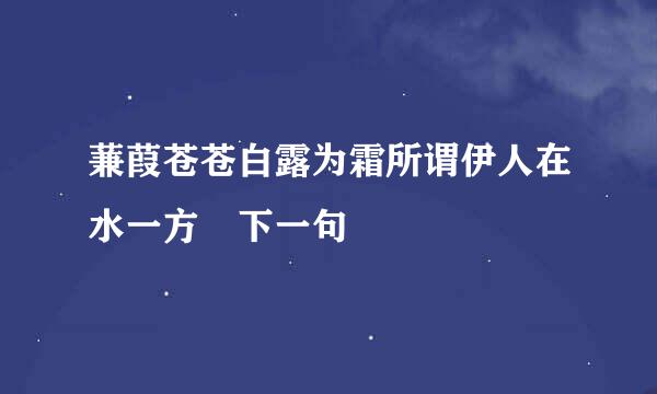 蒹葭苍苍白露为霜所谓伊人在水一方 下一句