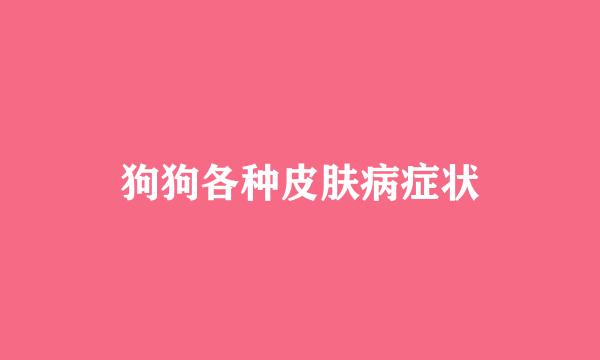 狗狗各种皮肤病症状