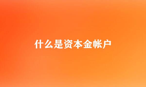 什么是资本金帐户