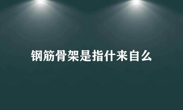 钢筋骨架是指什来自么