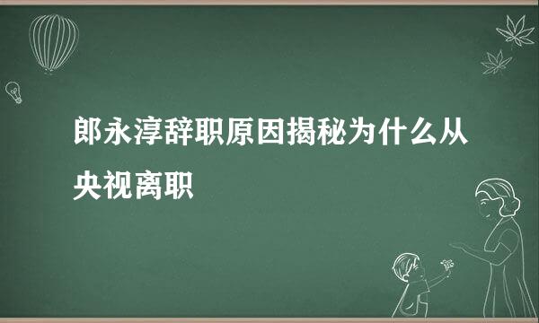 郎永淳辞职原因揭秘为什么从央视离职