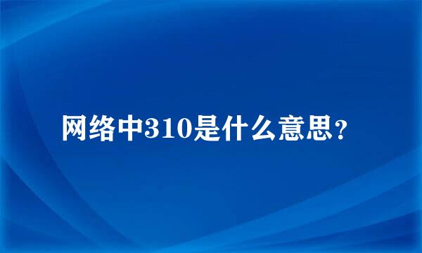 网络中310是什么意思？