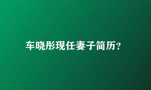 车晓彤现任妻子简历？