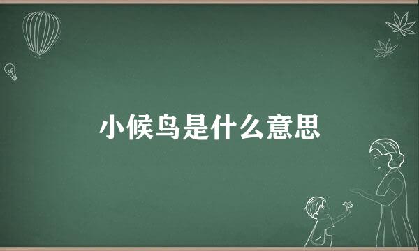 小候鸟是什么意思