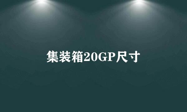 集装箱20GP尺寸