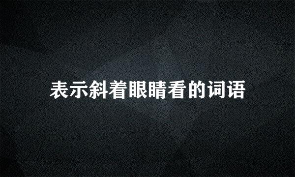 表示斜着眼睛看的词语