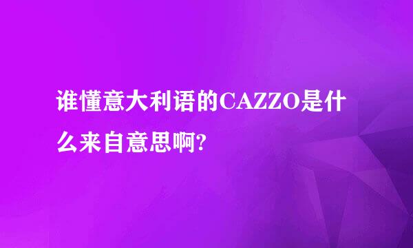 谁懂意大利语的CAZZO是什么来自意思啊?