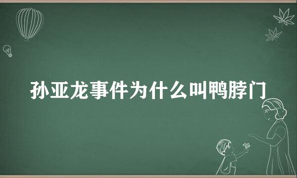 孙亚龙事件为什么叫鸭脖门