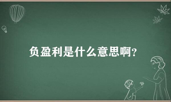 负盈利是什么意思啊？