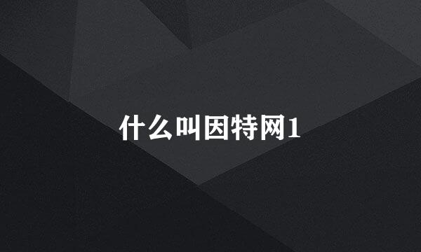 什么叫因特网1