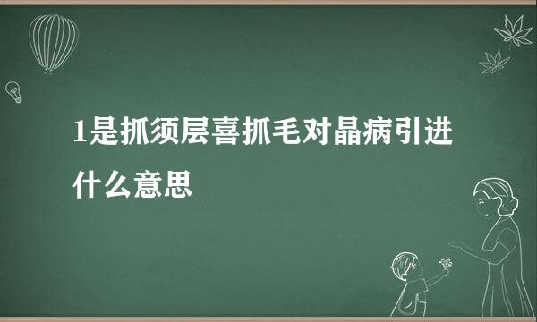 1是抓须层喜抓毛对晶病引进什么意思