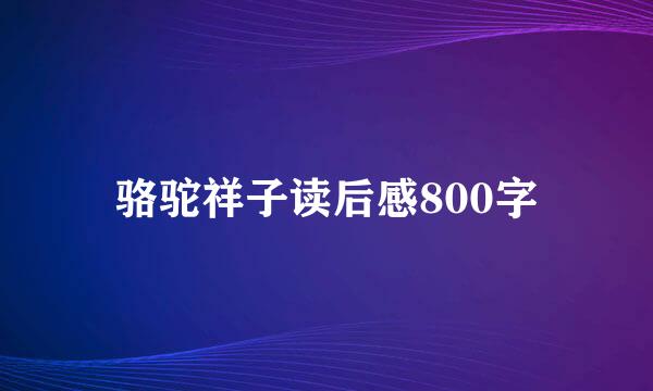 骆驼祥子读后感800字