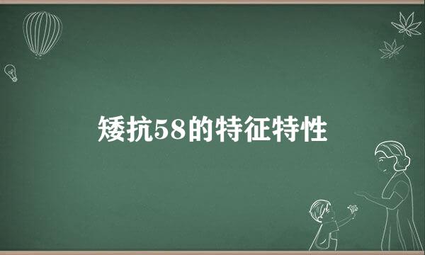 矮抗58的特征特性