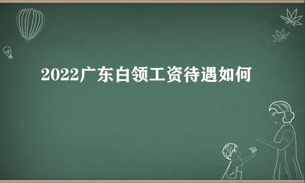 2022广东白领工资待遇如何