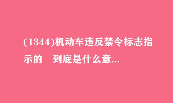 (1344)机动车违反禁令标志指示的 到底是什么意思？？明确点。我1个月居然给了我12张电子罚单。