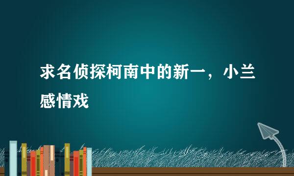 求名侦探柯南中的新一，小兰感情戏