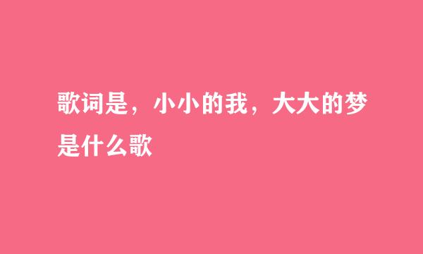 歌词是，小小的我，大大的梦是什么歌