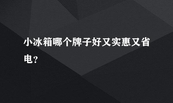 小冰箱哪个牌子好又实惠又省电？