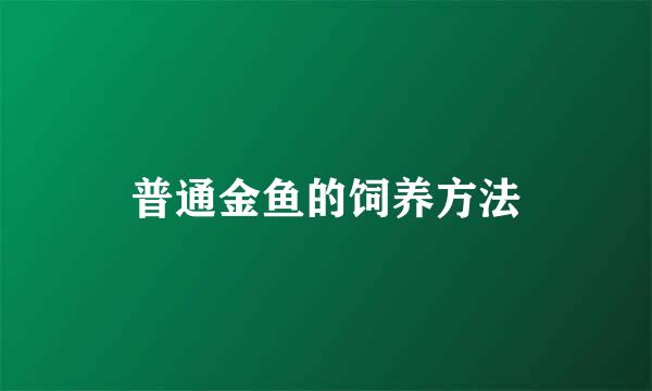 普通金鱼的饲养方法