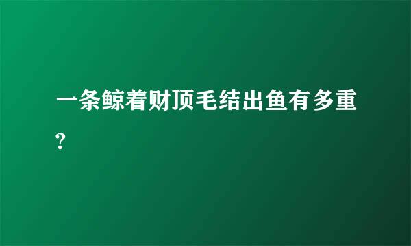 一条鲸着财顶毛结出鱼有多重?