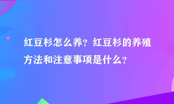 红豆杉怎么养？红豆杉的养殖方法和注意事项是什么？