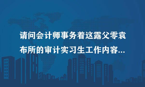 请问会计师事务着这露父零袁布所的审计实习生工作内容的精李声领是什么？