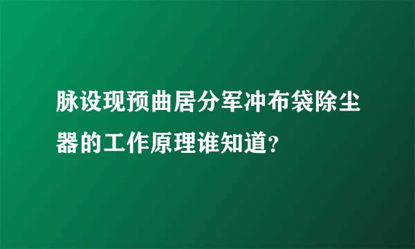 脉设现预曲居分军冲布袋除尘器的工作原理谁知道？