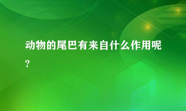 动物的尾巴有来自什么作用呢?