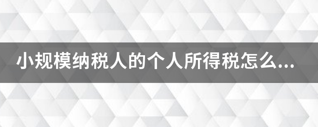 小规模纳税人州肥并食入听的个人所得税怎么计算中心