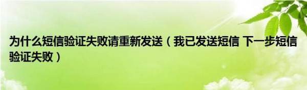 为什么短信验证存度失败请重新发送（我已发送短信 下一步短信验证失败）