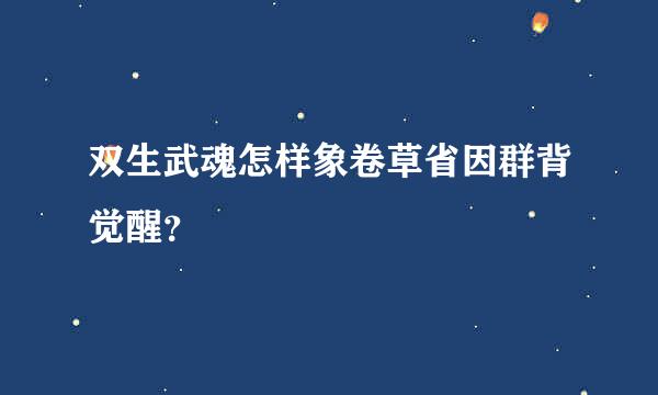 双生武魂怎样象卷草省因群背觉醒？