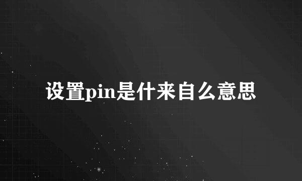 设置pin是什来自么意思