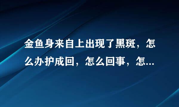 金鱼身来自上出现了黑斑，怎么办护成回，怎么回事，怎么救它？