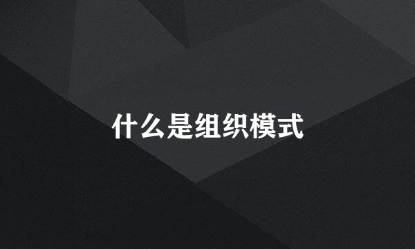 什么是组织模式