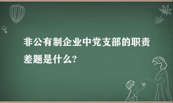 非公有制企业中党支部的职责差题是什么?