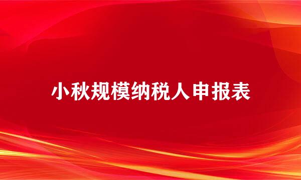 小秋规模纳税人申报表