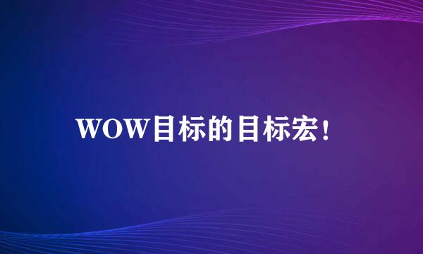 WOW目标的目标宏！