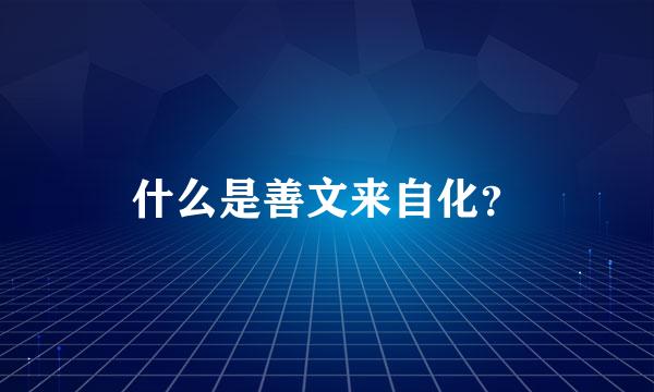 什么是善文来自化？